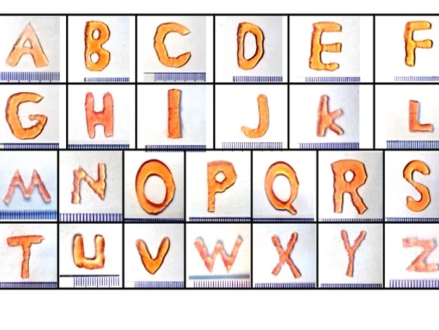 8b00b3_7897604a07dc40f7bef7be526ca83b0b~mv2.webp.jpg